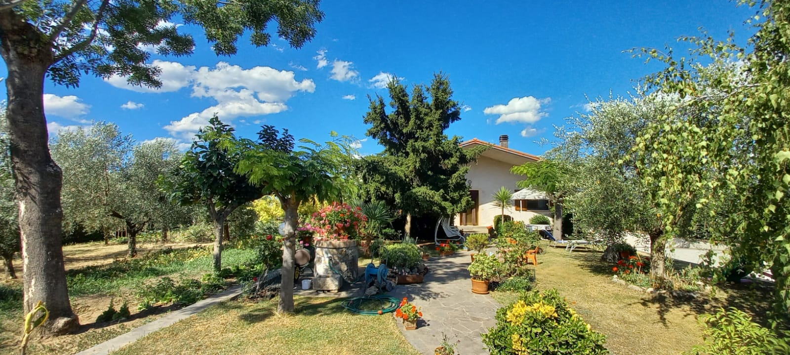Riccione, (Rn) Viale Udine | Solo Case Indipendenti 719_x_1600_jpg