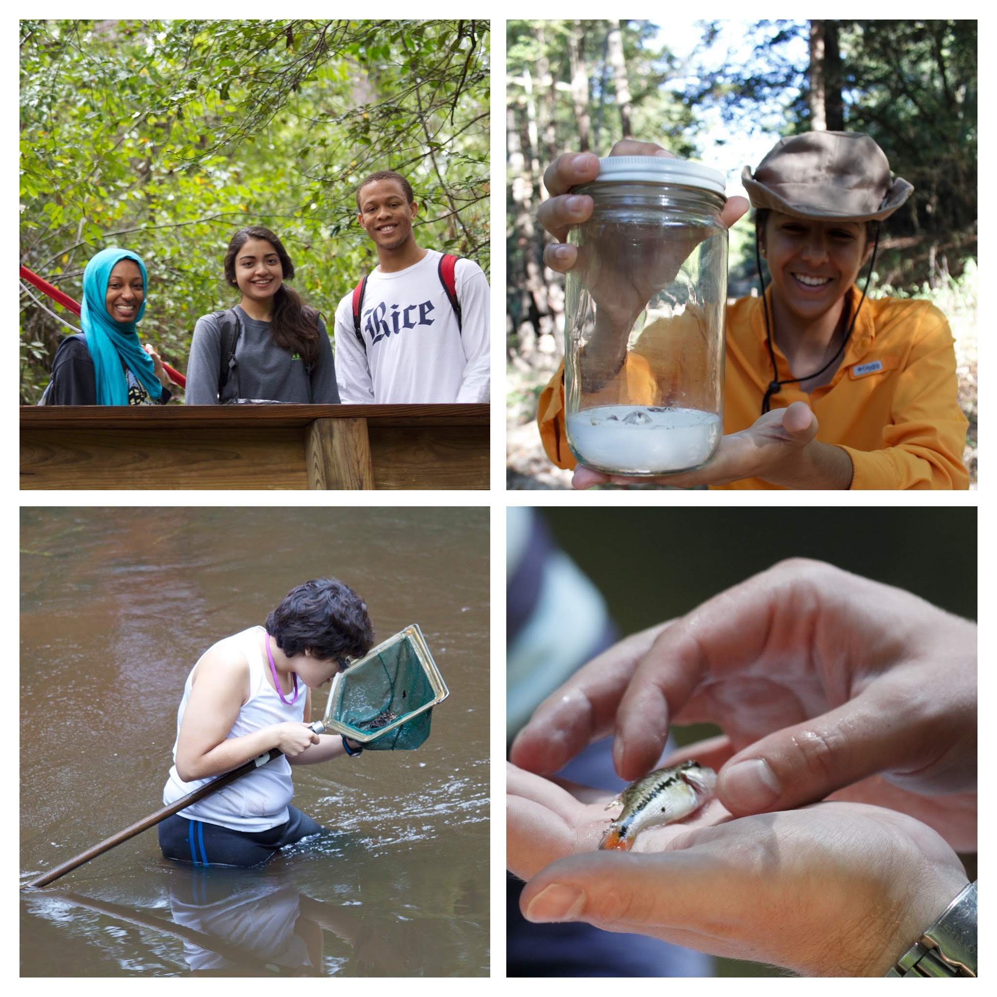 Biological Diversity Scott E. Solomon, Ph.D.