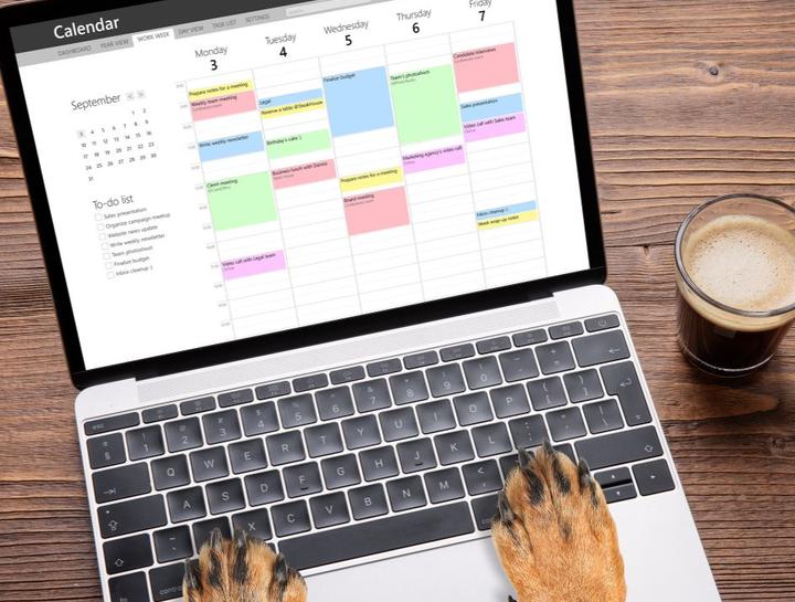 Solomons Veterinary Medical Center Solomons Veterinary Hospital