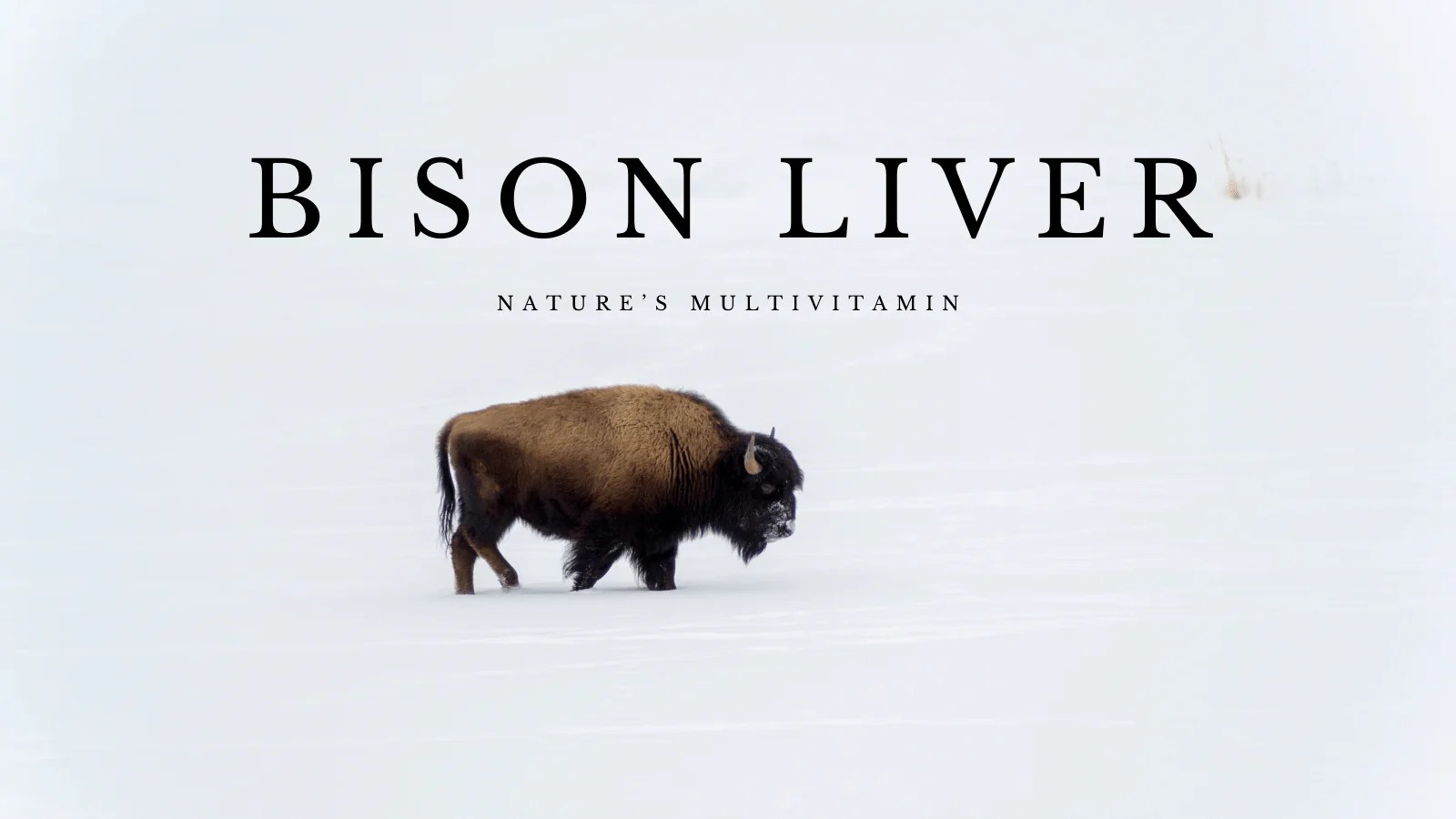 Beef Liver vs Bison Liver Sol Supps Blog