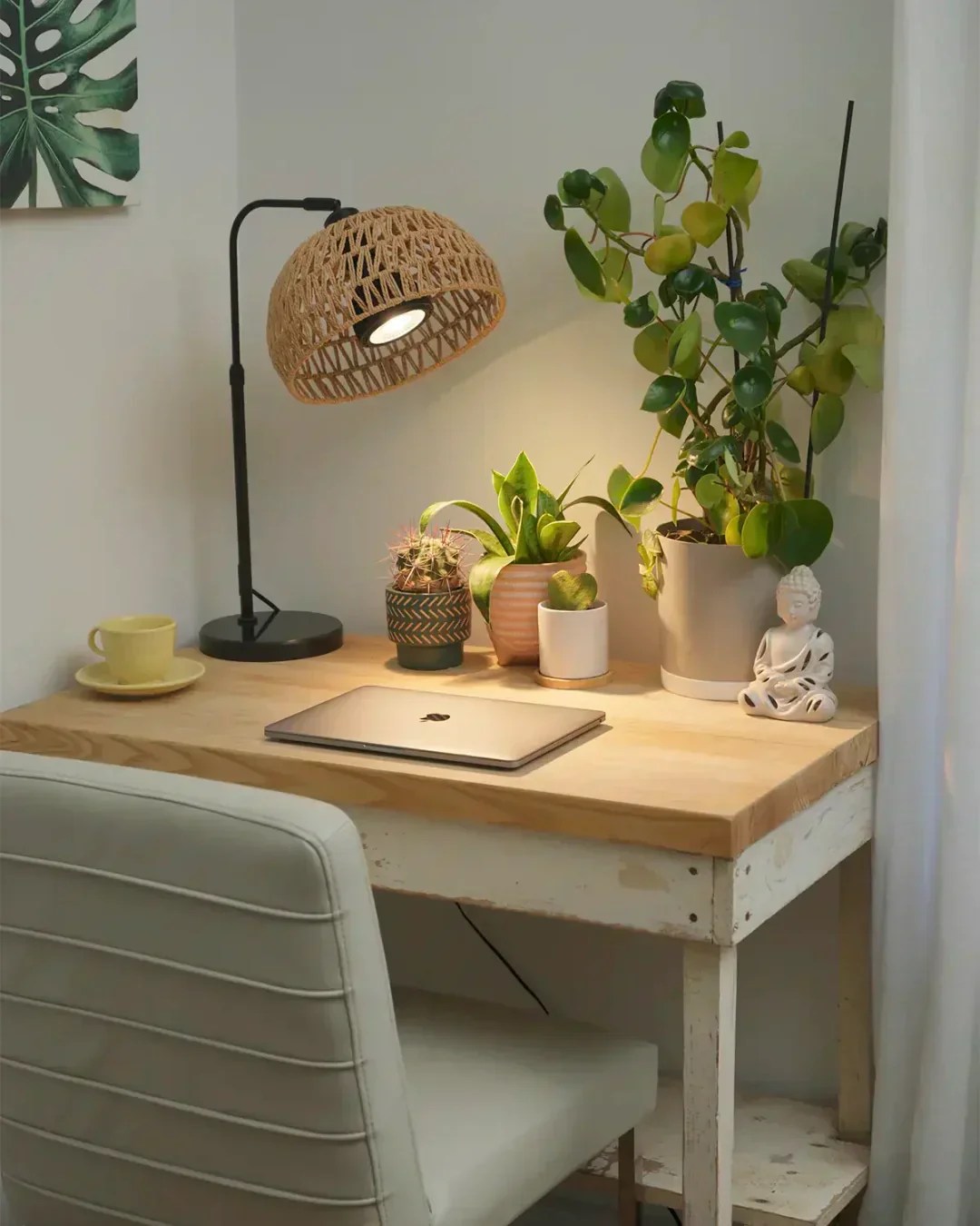 Why Your Desk Plants Keep Dying And How To Fix It Soltech