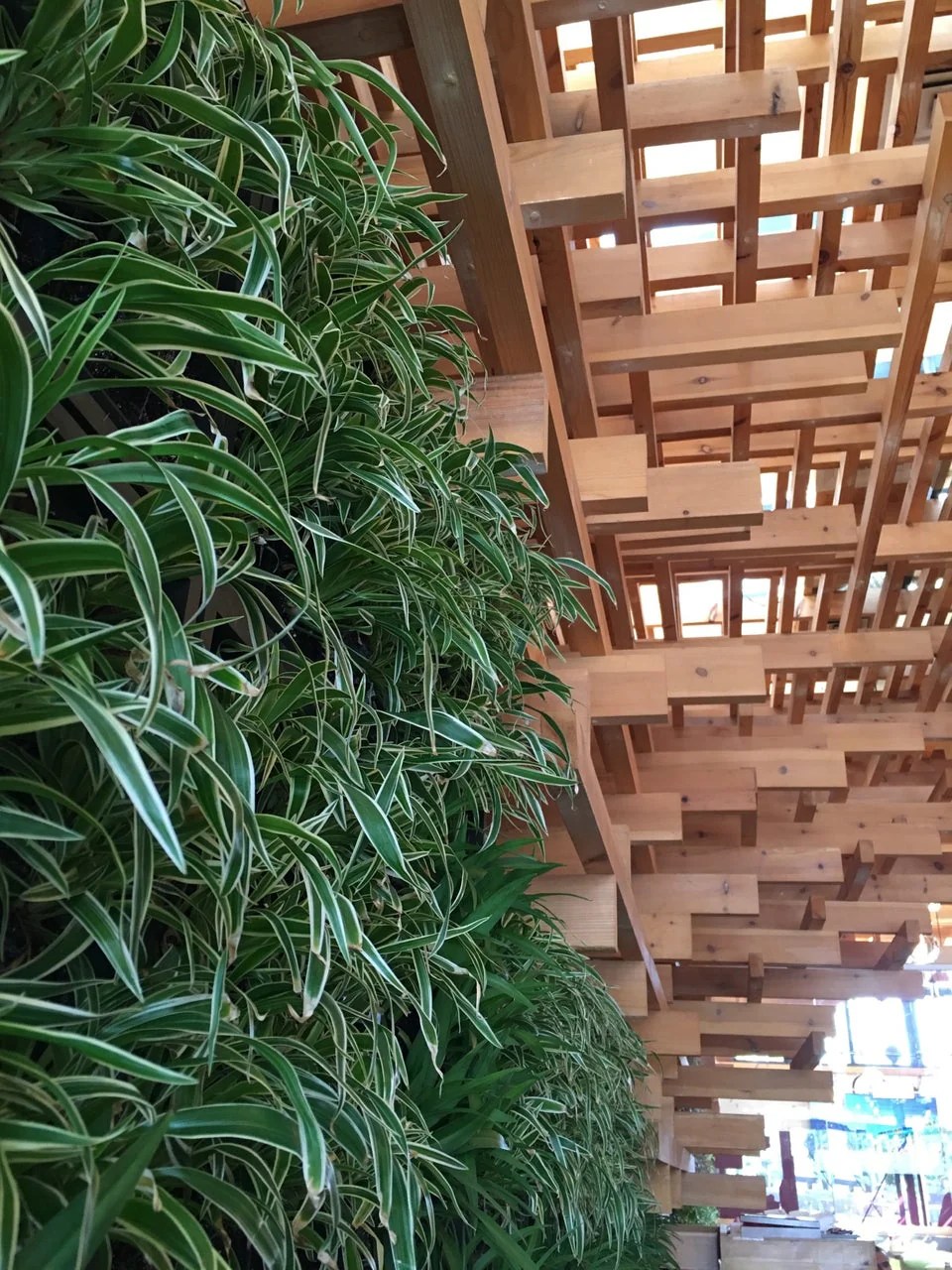 Living Wall Lighting Guide Soltech