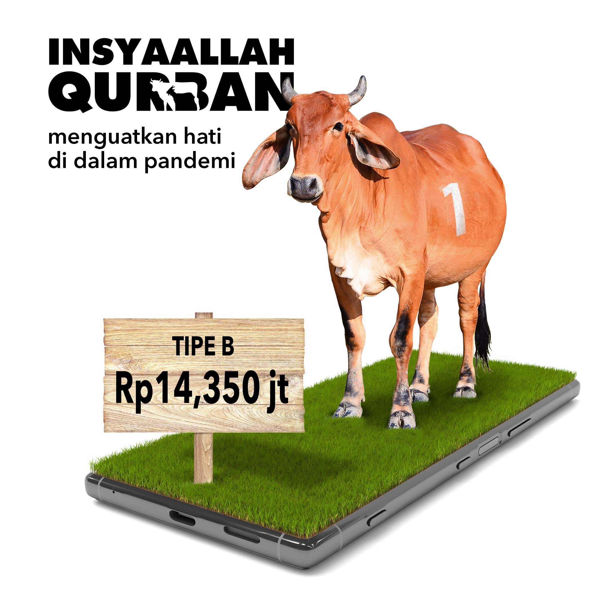 52+ Info Baru Cicilan Qurban