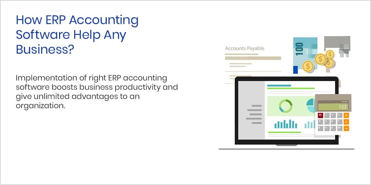 How ERP Accounting Software Help Any Business?
