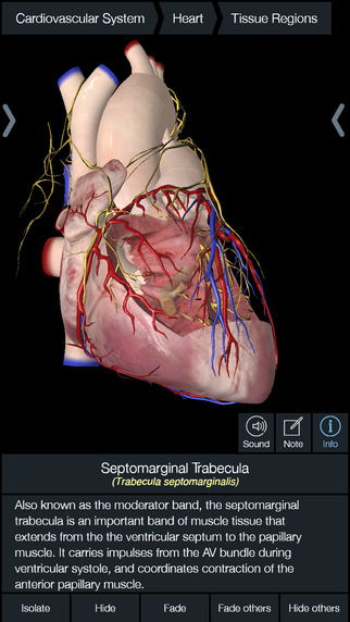 Best Anatomy Apps For Medical Students In 2022 - Softonic Best Anatomy Apps For Medical Students In 2022 - Softonic