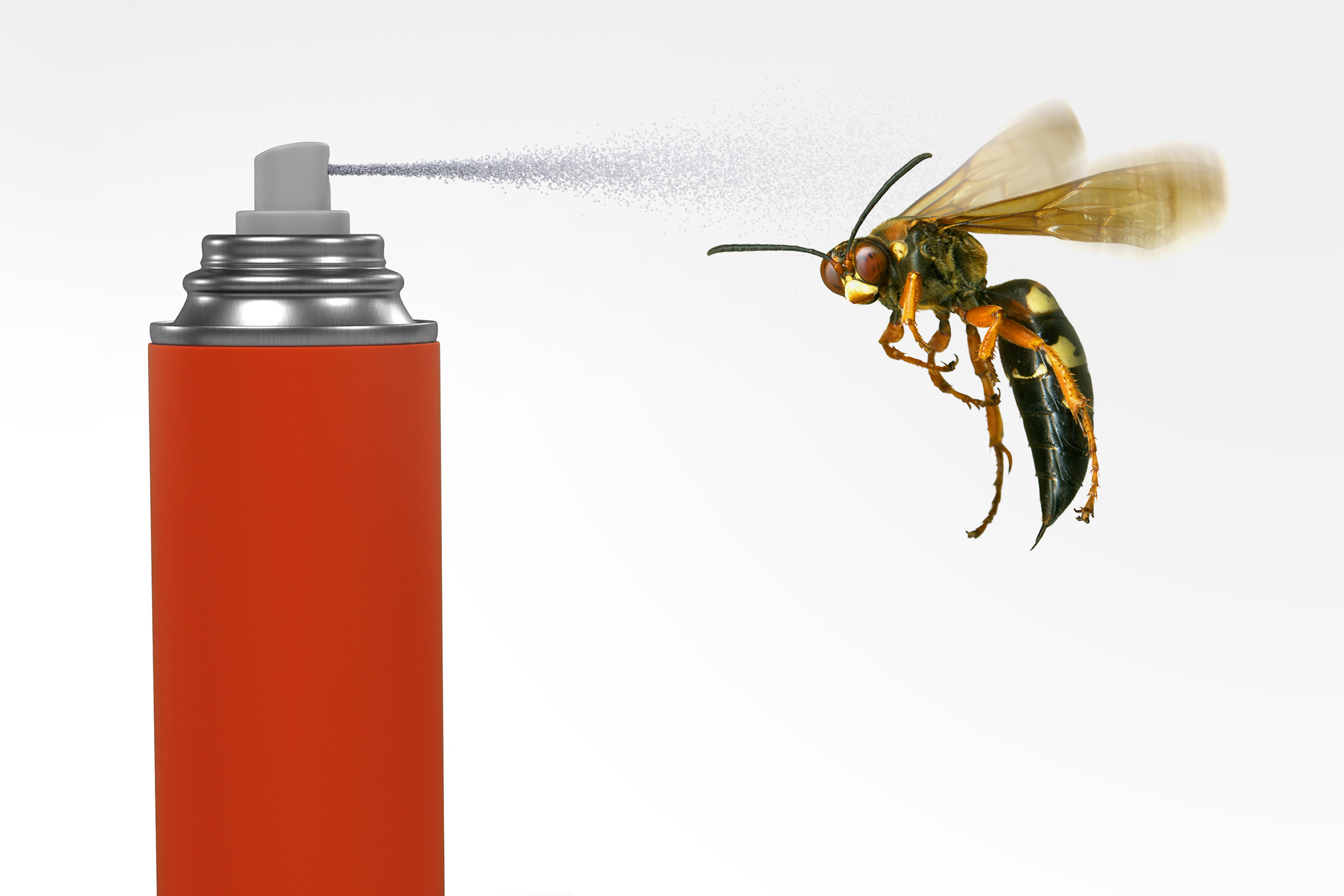 Details more than 160 yellow jacket sting pain scale best halodalat.vn