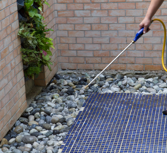 Pest Control Jacksonville NC Solve Pest Pros