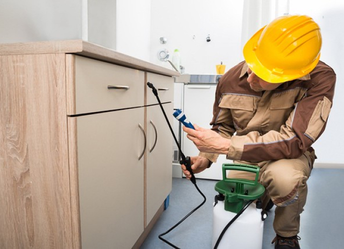 Pest Control Houston TX Solve Pest Pros