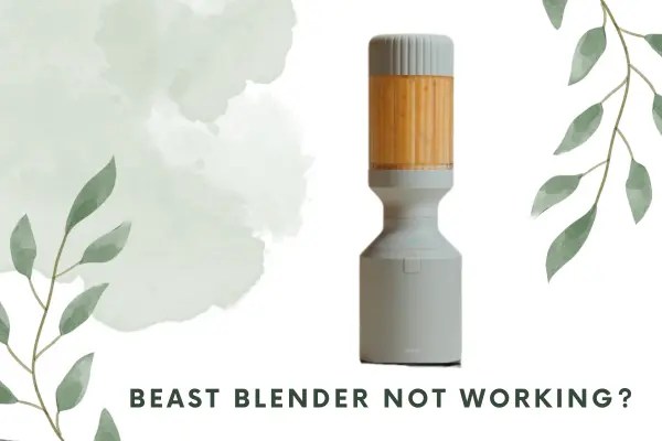 Beast Blender Not Working: Solutions And Fixes - Solver Point