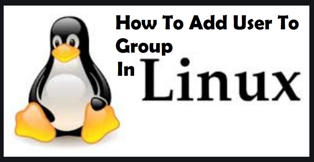 How To Add A User To A Group In Linux – Bash Linux