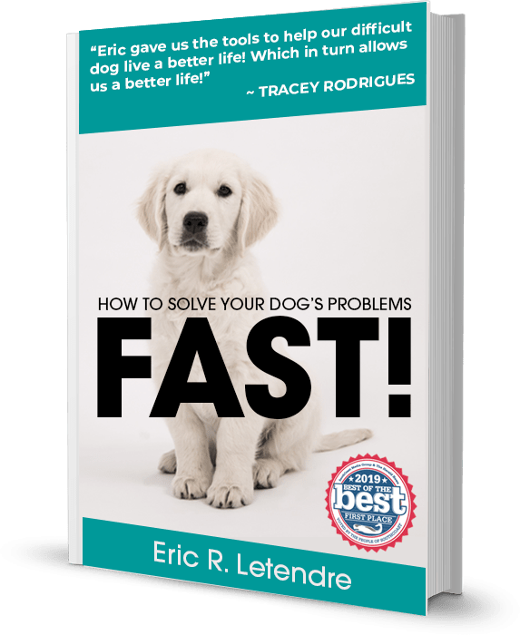 home Solve Your Dog Problems, Fast!