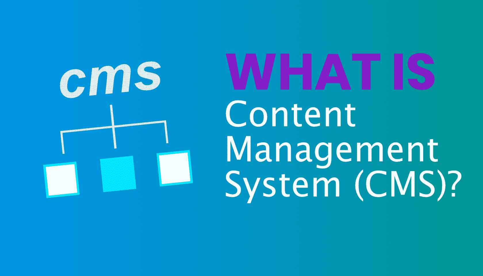 What is Content Management System (CMS)? Blogging Glossary Solvid
