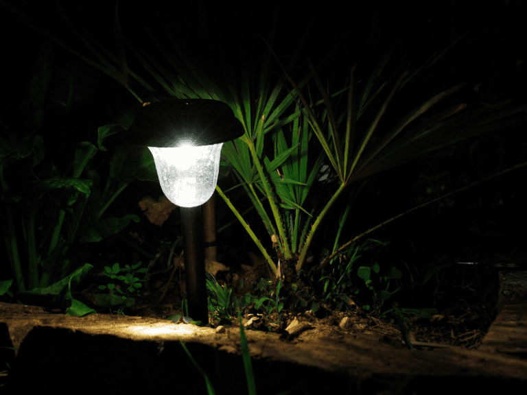 Do Solar Lights Need Direct Sunlight? (Do This) Solar Panel