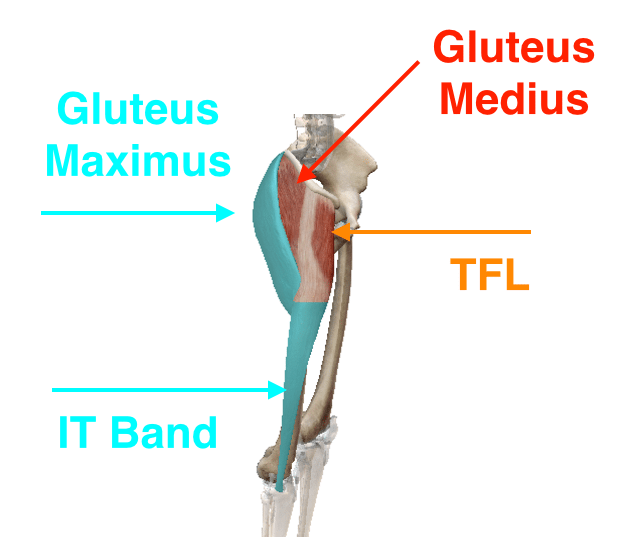 IT Band and Vastus Lateralis Release soma system®