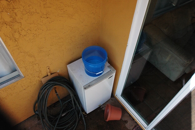 Dechlorinating Water for Healthier Plants Someday I'll Learn