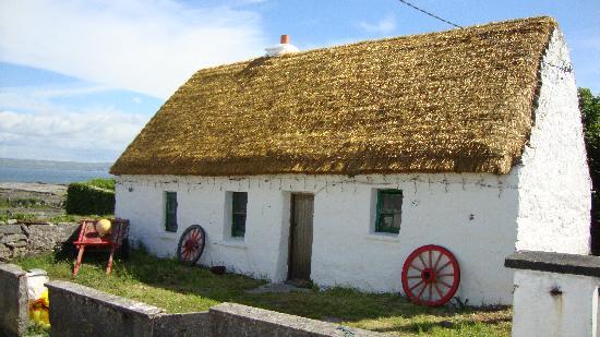 How Thatching Works Some Interesting Facts