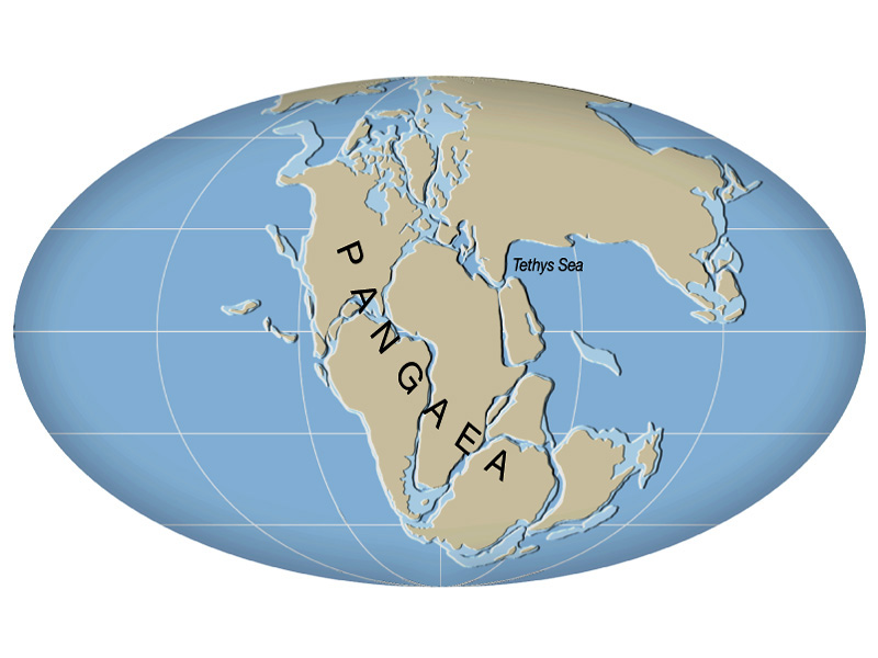 Kenorland, Rodinia and Pangaea Some Interesting Facts
