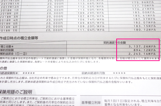 マニュライフ生命の個人年金外貨ドル建ての2年目の返戻率は？利率やデメリットもご紹介！ Something Plus
