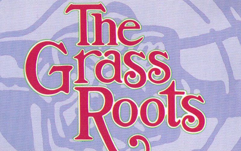 Joel Larson, CoFounder of the Grass Roots Something Else! Interview