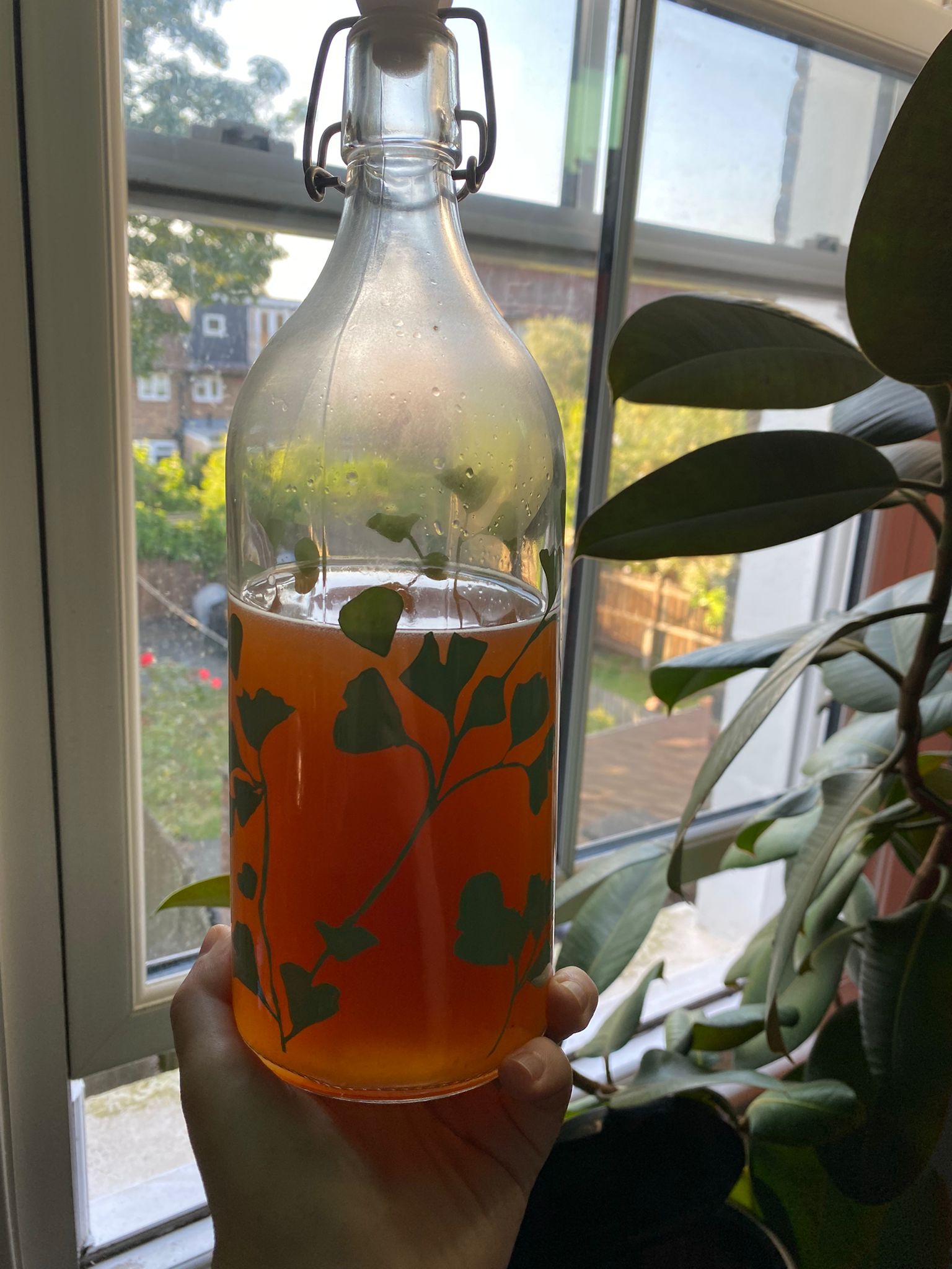 Lavender kombucha Something From Anything