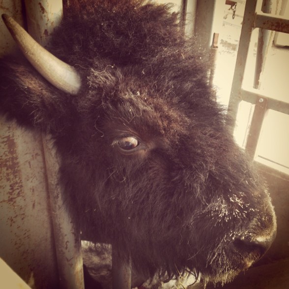 Something, from Nowhere a real life look, at a real life me