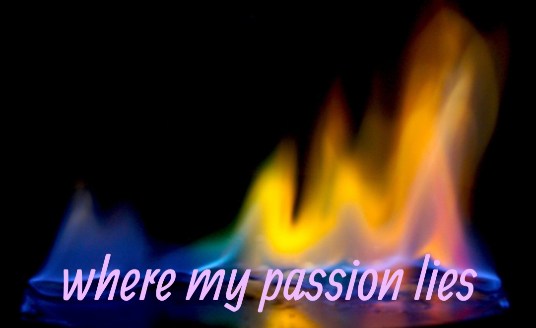 Where my passion lies…. Something Resembling Life