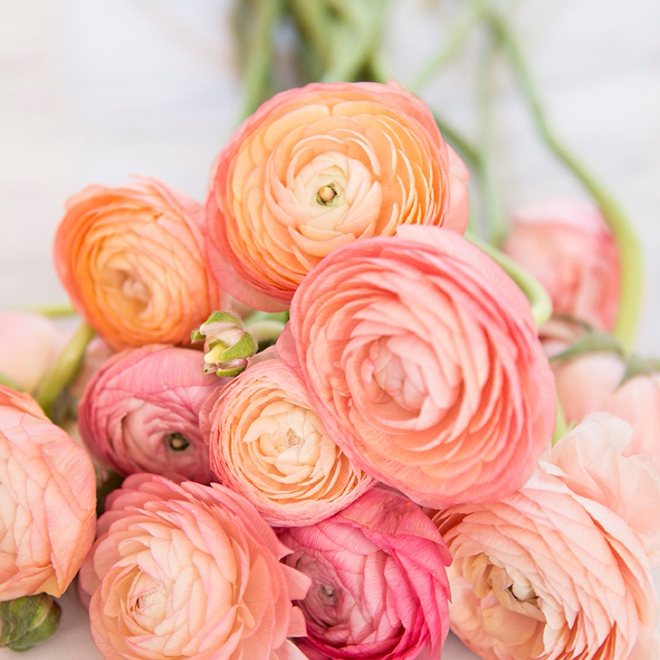 Wedding Flower Power // The Radiant Ranunculus