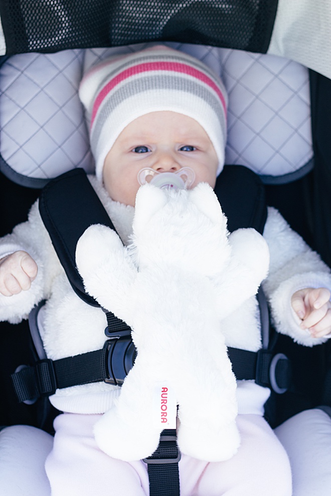 DIY Stuffed Animal Pacifier Holder for the Pacifier Your Baby Likes