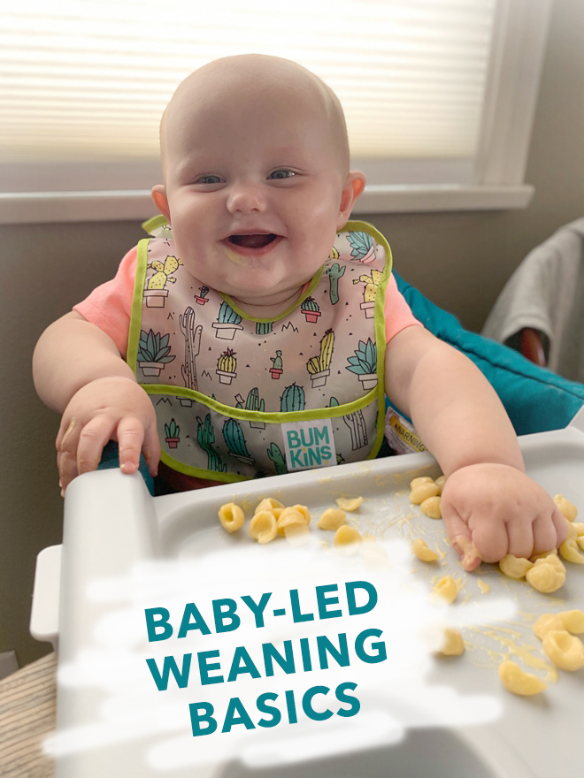 The 60 First Foods (and how to serve them) For BabyLed Weaning!