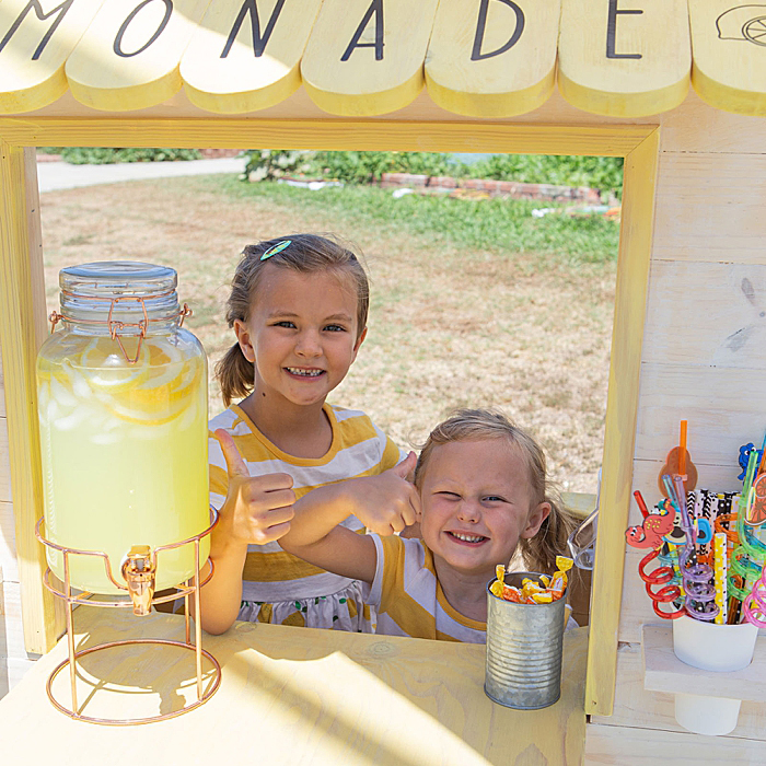 Diy Lemonade Stand Ideas, Plan, Built And VIDEO