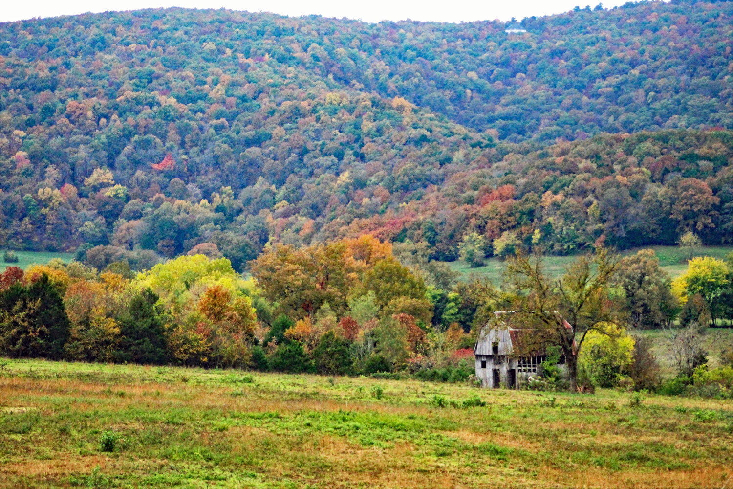 Best Places to See Fall Color in Arkansas Somewhere In Arkansas