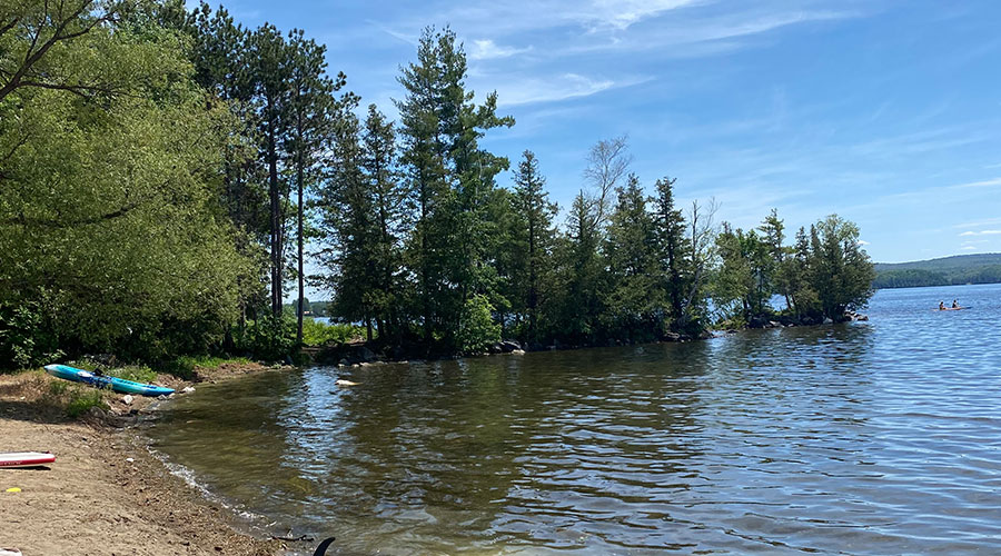 Calabogie ShavanaRico