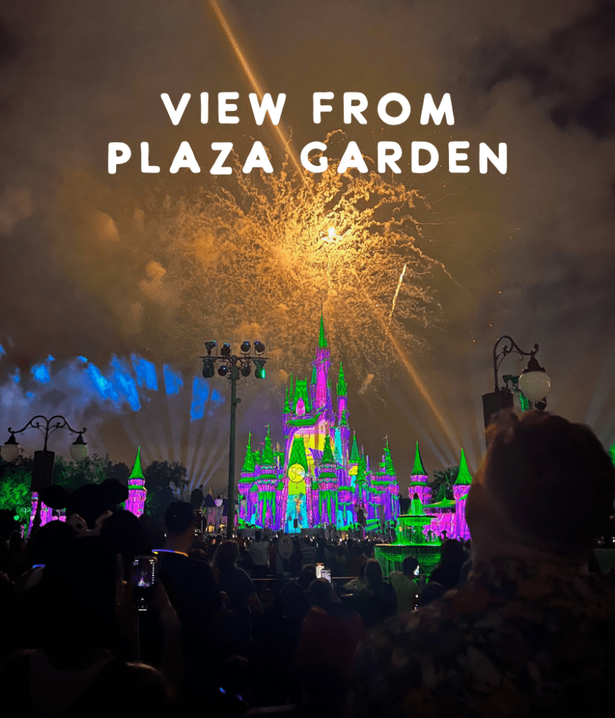 Is the Magic Kingdom Fireworks Dessert Party Worth It? Laidback