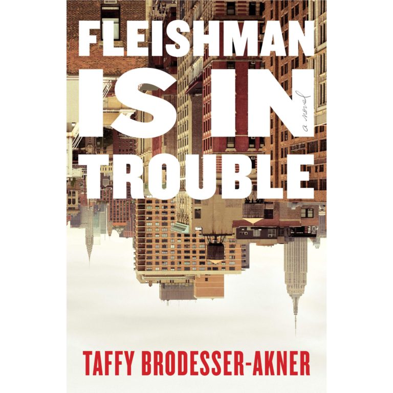 Fleishman Is in Trouble by Taffy BrodesserAkner Book Review So