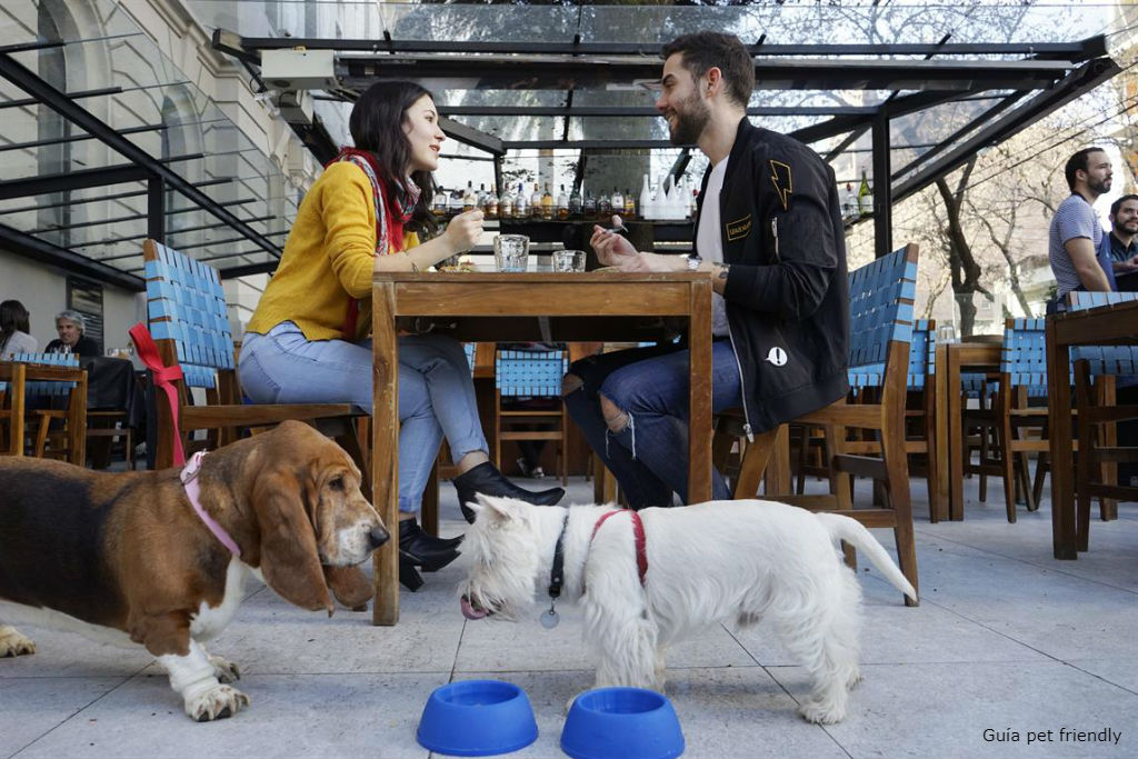 Un almuerzo con tu mejor compañía 10 locales pet friendly en Lima Revista Sommelier