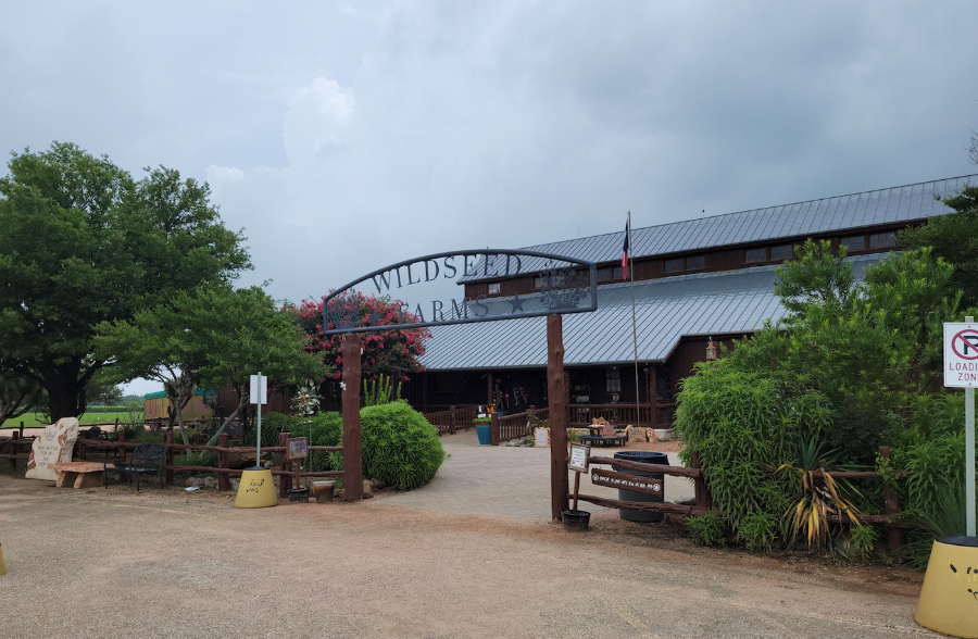 Wildseed Farms Vineyard Texas Winery Buy Wildseed Farms Vineyard