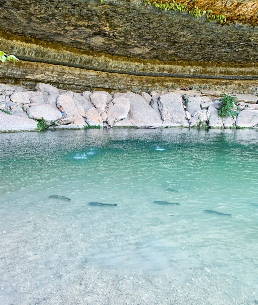 Everything You Need To Know About Visiting Hamilton Pool So Much Life