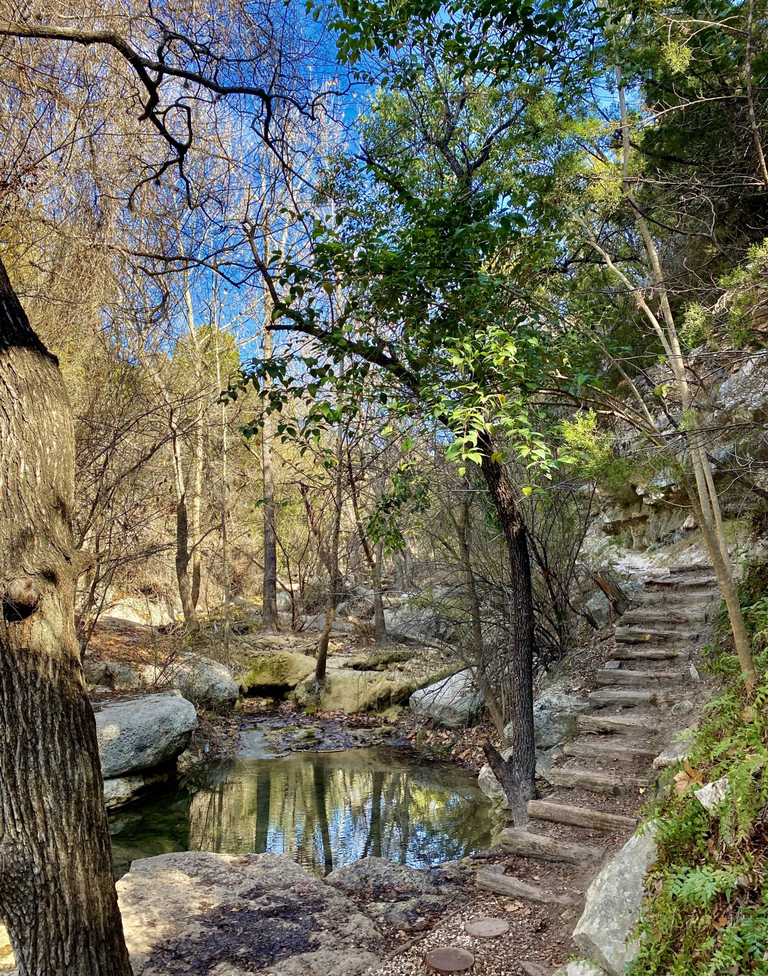 5 Awesome Hiking Spots In Austin So Much Life