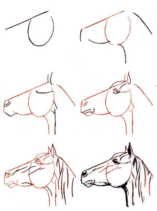 Dessiner Les Chevaux Une Méthode Simple Pour Apprendre à.