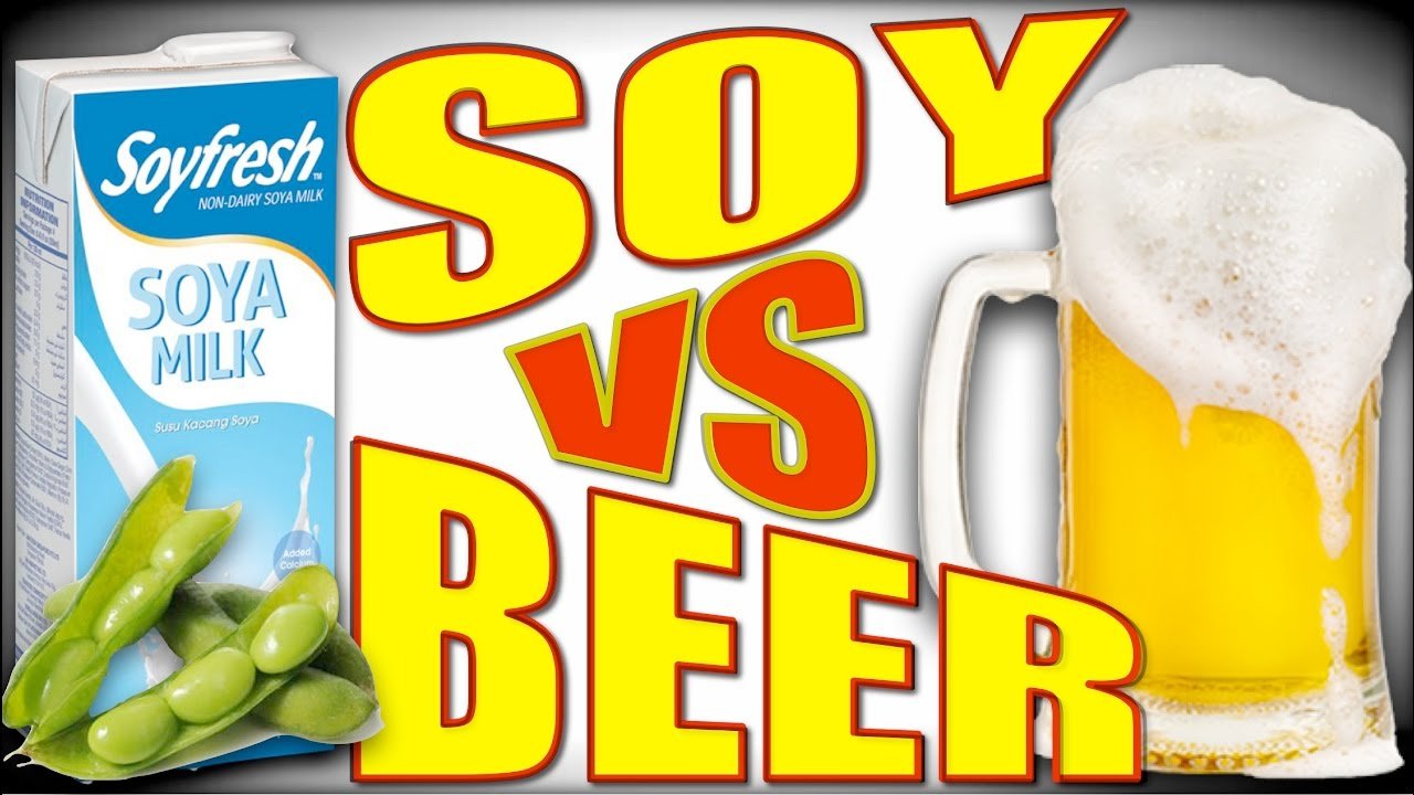 Soy Vs Beer Which Promotes Estrogen More? SonderLives