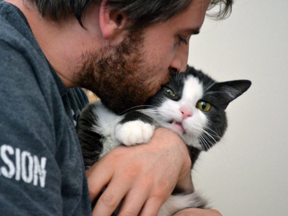 29 Things Humans Do That Cats Dislike SonderLives