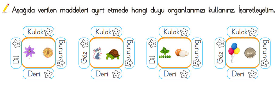 3. Sınıf Fen Bilimleri Maddeyi Tanıyalım Konu Anlatımı, Etkinlik, Test Pdf
