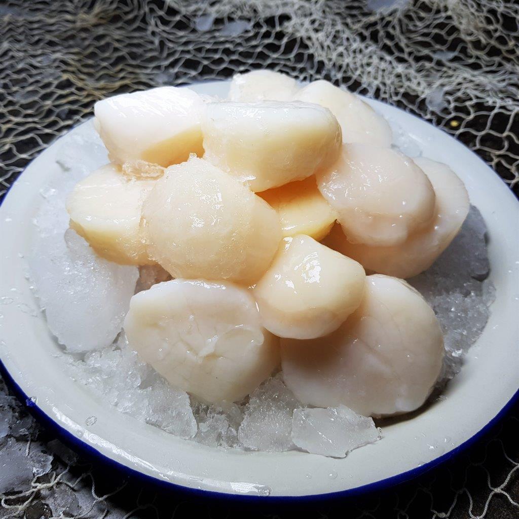 US Scallop Song Fish Dealer Pte Ltd