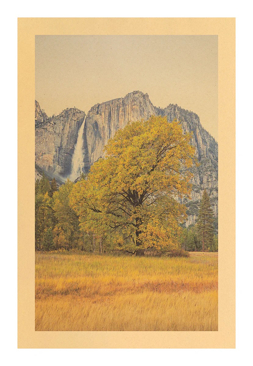 Cast in Gold, Yosemite National Park Song of Absolution