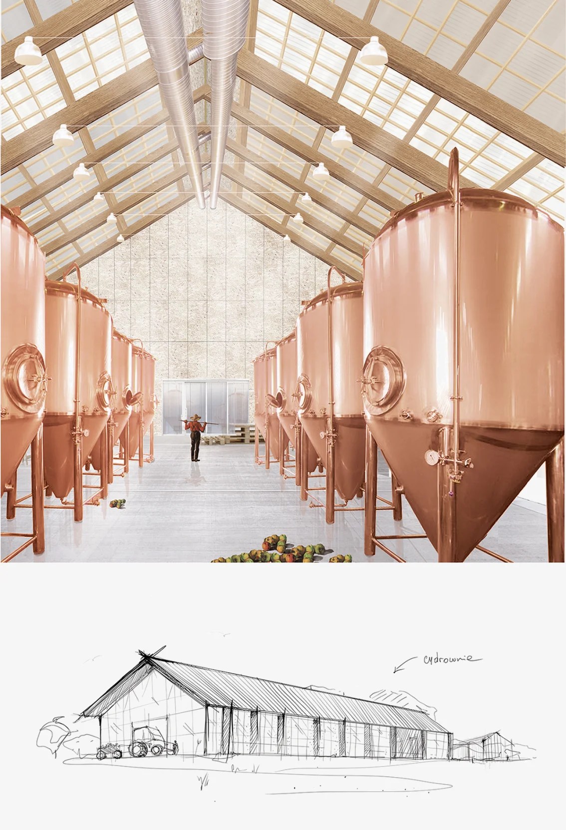 Cider factory Sonia Dubois