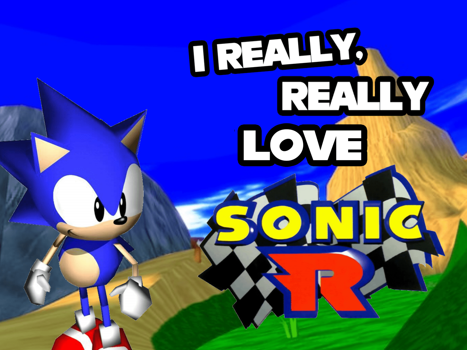 在庫処分 SONIC R