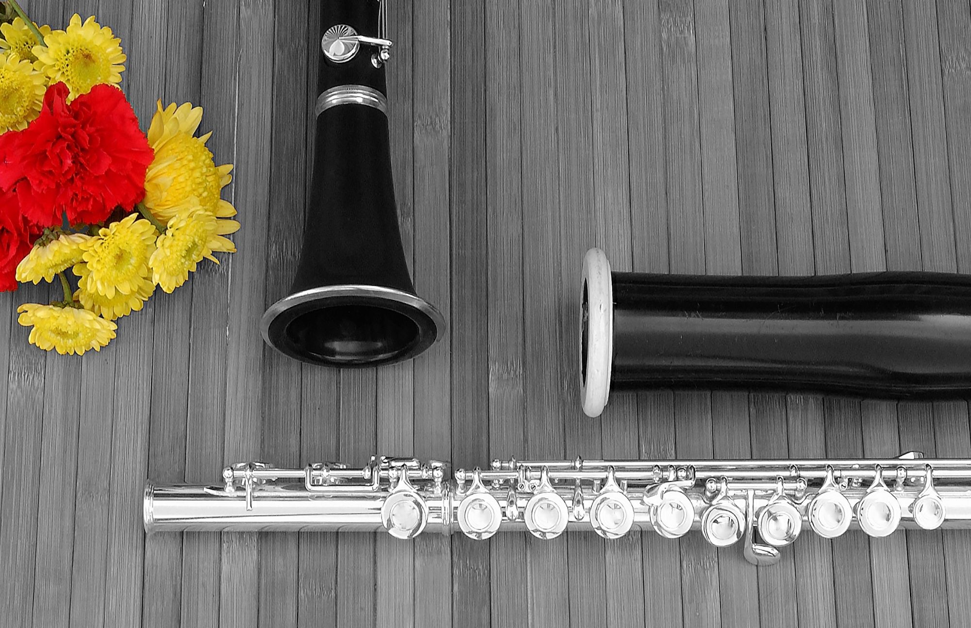 Differences Between Conical And Cylindrical Bore Instruments? Sonic