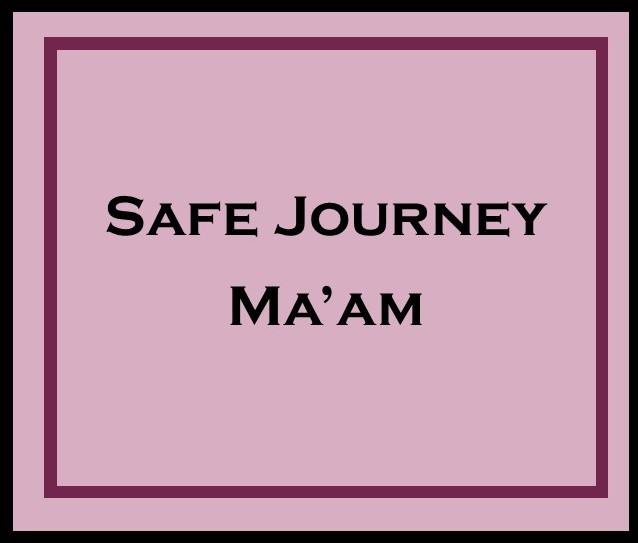 safe journey Sonistics