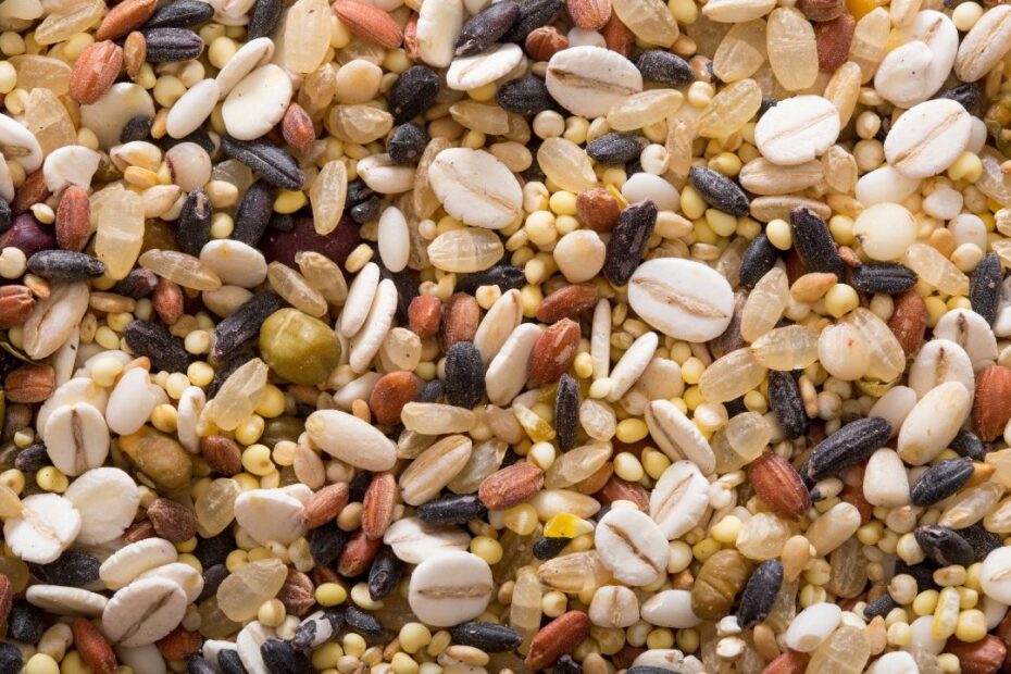 Millets For Diabetes Sonkan Foods