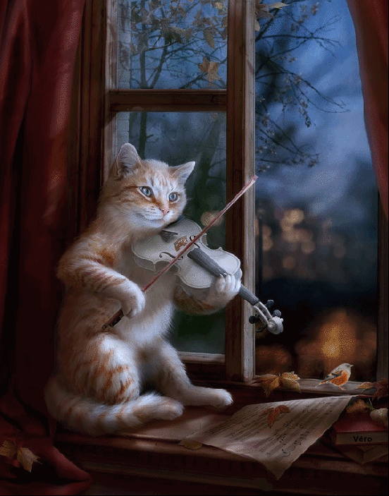 gifs animés Page 209